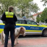 Kurze Beine auf Abwegen - Entlaufenes Pony sorgt für Polizeieinsatz