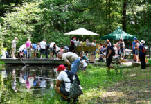 Sommerfest in der Waldstation Eilenriede - Naturerlebnisse für die ganze Familie