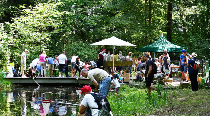 Sommerfest in der Waldstation Eilenriede – Naturerlebnisse für die ganze Familie am 16.06. Sommerfest in der Waldstation Eilenriede - Naturerlebnisse für die ganze Familie