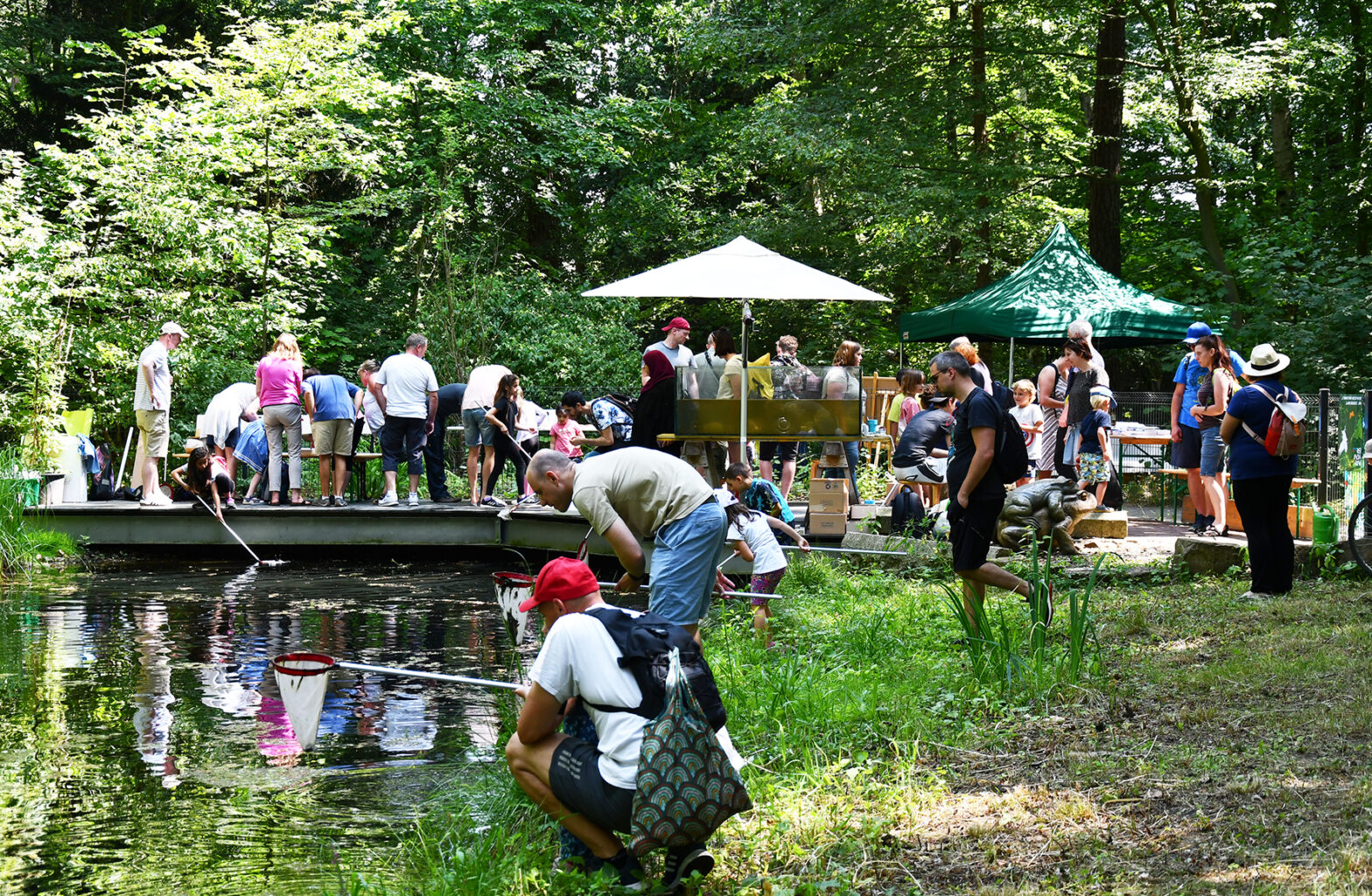 Sommerfest in der Waldstation Eilenriede - Naturerlebnisse für die ganze Familie