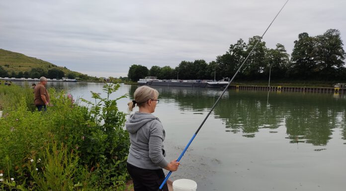 Wissenschaftliches Angeln – Auf den Spuren einer eingeschleppten Fischart im Mittellandkanal Wissenschaftliches Angeln - Auf den Spuren einer eingeschleppten Fischart im Mittellandkanal