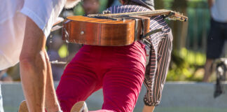 Ein Blick zurück auf das Kleine Fest im Großen Garten 2024 – Zwischen Tradition und Neuerung