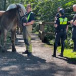 Tierrettungseinsatz in der Eilenriede: Polizeipferd Quintus mit dem Schrecken davon gekommen