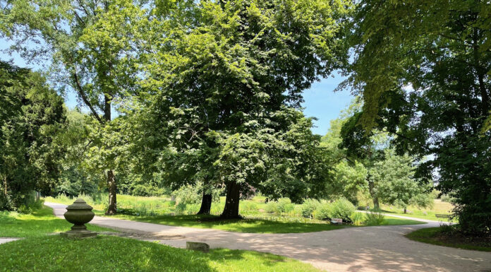 Sanierungsarbeiten in Hannovers historischen Parks: Sicherheit und Erhalt im Fokus