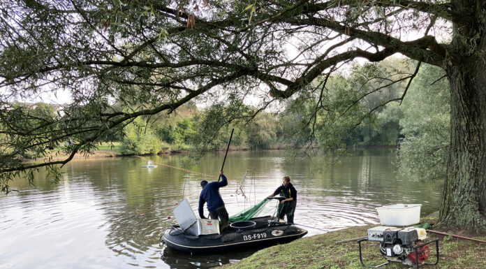 Märchensee im Stadtteil Sahlkamp wurde abgefischt: Maßnahme zur Verbesserung der Wasserqualität Märchensee im Stadtteil Sahlkamp wurde abgefischt: Maßnahme zur Verbesserung der Wasserqualität