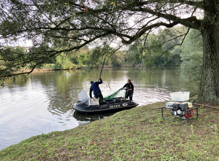 Märchensee im Stadtteil Sahlkamp wurde abgefischt: Maßnahme zur Verbesserung der Wasserqualität