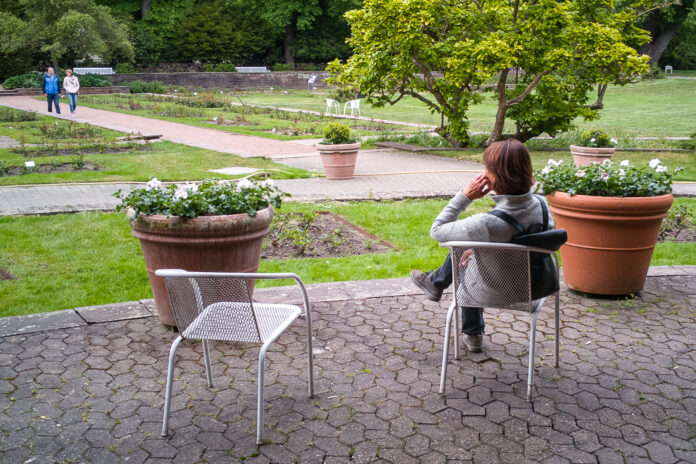 Überarbeitung des historischen Rosengartens im Stadtpark