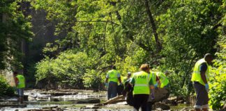 Zum „World Cleanup Day“: Auf zwei städtischen „Wildnisflächen“ wird aufgeräumt