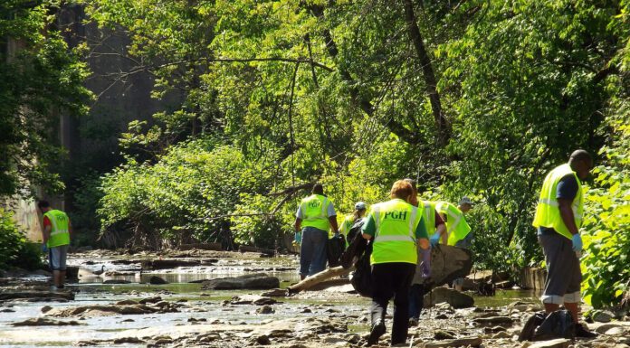 Zum „World Cleanup Day“: Auf zwei städtischen „Wildnisflächen“ wird aufgeräumt