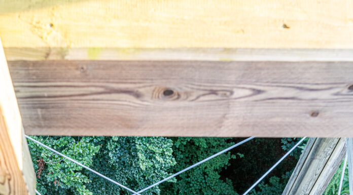 Sperrung des Walderlebnisturms in Waldstation Eilenriede zur Überprüfung und Wartung Sperrung des Walderlebnisturms in Waldstation Eilenriede zur Überprüfung und Wartung