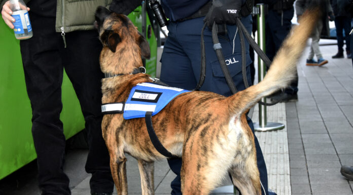 Gemeinsame Kontrolle von Reisebussen durch Zoll Hannover, Landes- und Bundespolizei am 17.01.2025