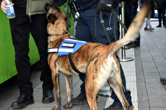 Gemeinsame Kontrolle von Reisebussen durch Zoll Hannover, Landes- und Bundespolizei am 17.01.2025