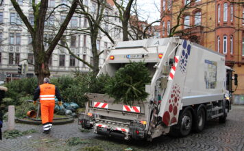 Weihnachtsbäume entsorgen - aha-Sammelplätze für Tannenbäume in Hannover