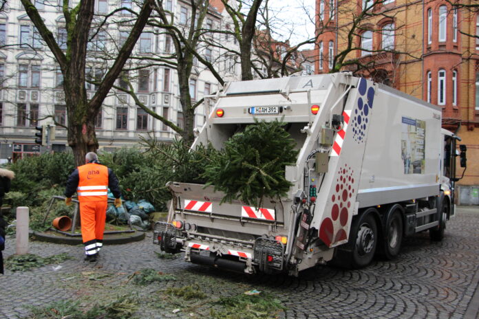 Weihnachtsbäume entsorgen - aha-Sammelplätze für Tannenbäume in Hannover