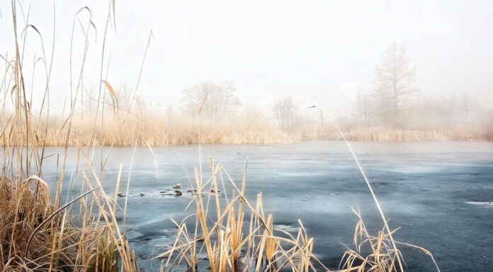 Hannover warnt vor Betreten zugefrorener Gewässer und deren Gefahren Die Warnung vor dem Betreten zugefrorener Gewässer in Hannover ist dringend. Lebensgefahr droht bei Eisbruch