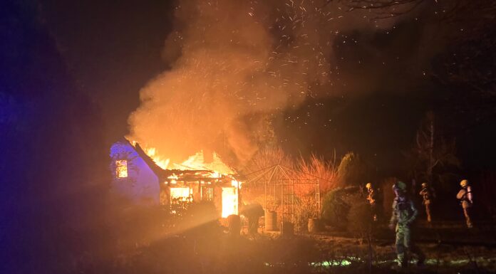 Gartenlaube brennt in Hannover-Hainholz nieder: Feuerwehr im Einsatz In Hainholz: Gartenlaube brennt in der Nacht nieder. Feuerwehr verhindert Ausbreitung des Feuers auf weitere Gartenlauben