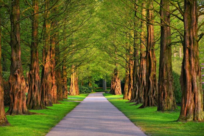 Die Wegesanierungen im Maschpark in Hannover sind Teil der Maßnahmen zur Erhaltung des historischen Bürgerparks von 1913