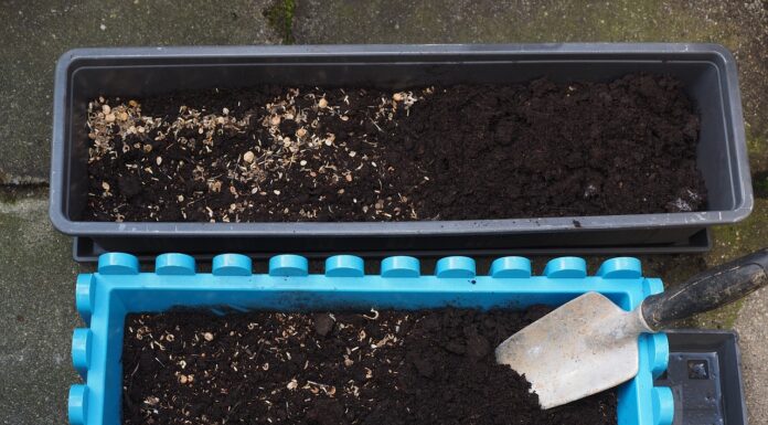 Hannover verteilt kostenfreie Saatgutmischung für blühende Gärten und Insektenfreundlichkeit Die Stadt Hannover bietet die Saatgutmischung Blühende Gärten kostenfrei an, um insektenfreundliche Gärten zu fördern