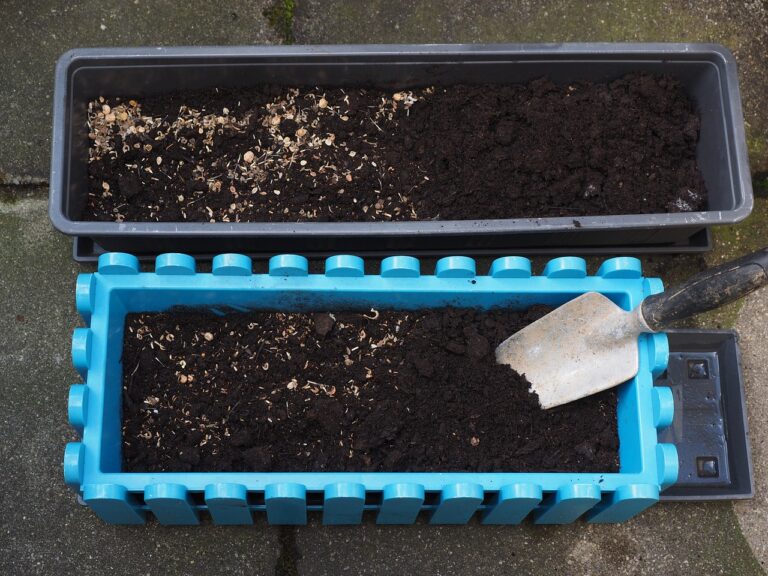 Die Stadt Hannover bietet die Saatgutmischung Blühende Gärten kostenfrei an, um insektenfreundliche Gärten zu fördern