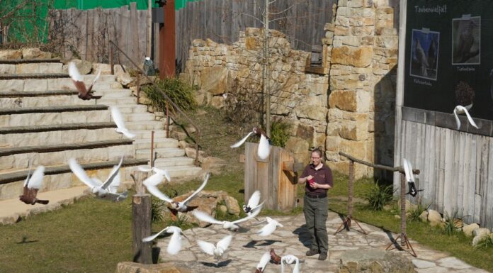 Im Herzen von Hannovers: Erlebnis-Zoo feiert 160 Jahre mit einem bunten Jubiläumsprogramm für die ganze Familie