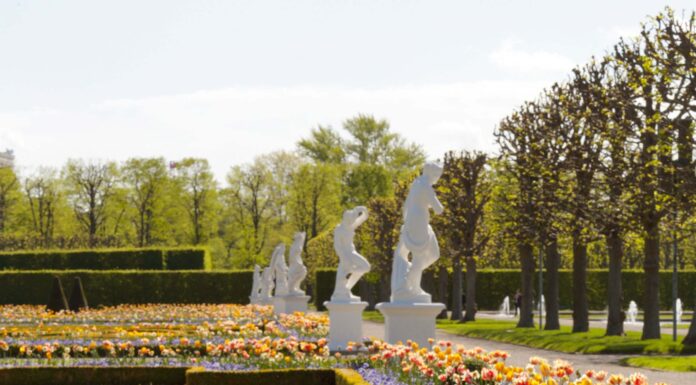 Start der Sommersaison in den Herrenhäuser Gärten mit bunten Frühjahrsblumen am 01.04. Die Herrenhäuser Gärten starten die Sommersaison mit bunten Frühjahrsblumen und einem vielfältigen Veranstaltungsprogramm