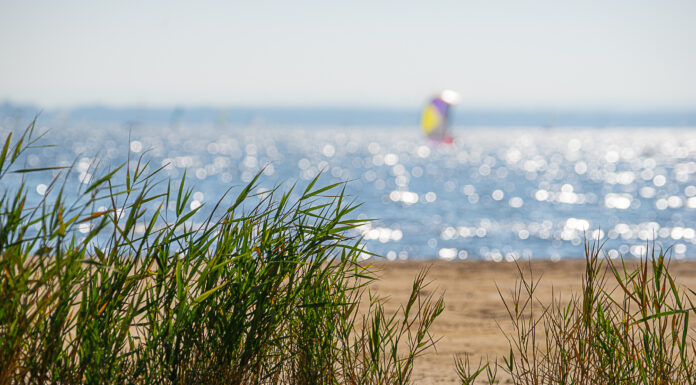Saisonstart im Naturpark Steinhuder Meer mit abwechslungsreichem Jahresprogramm Ein abwechslungsreiches Jahresprogramm beginnt mit dem Saisonstart im Naturpark Steinhuder Meer. Es bietet zahlreiche Veranstaltungen für Familien und Kinder