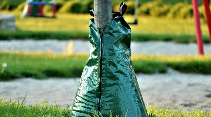 Hannover startet Projekt „Volle Kanne“ für kostenlose Wassertanks zur Baumbewässerung Hannover startet Projekt „Volle Kanne“ für kostenlose Wassertanks zur Baumbewässerung