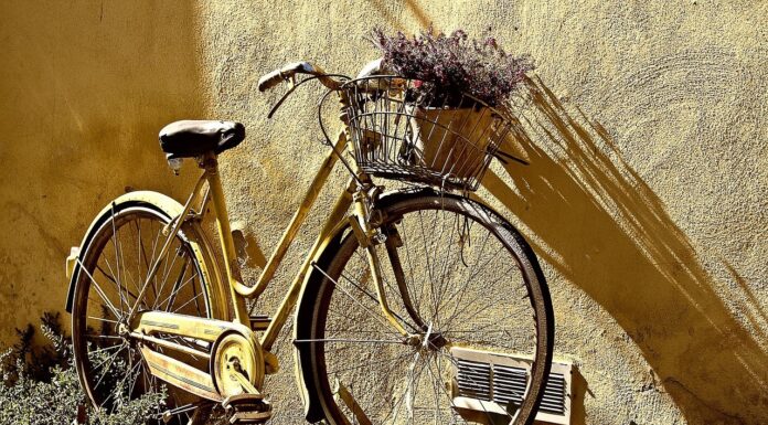 Fahrradversteigerung in Hannover: Fundbüro bietet 80 gebrauchte Räder an Am 15. März findet die Fahrradversteigerung in Hannover statt, bei der 80 gebrauchte Räder angeboten werden