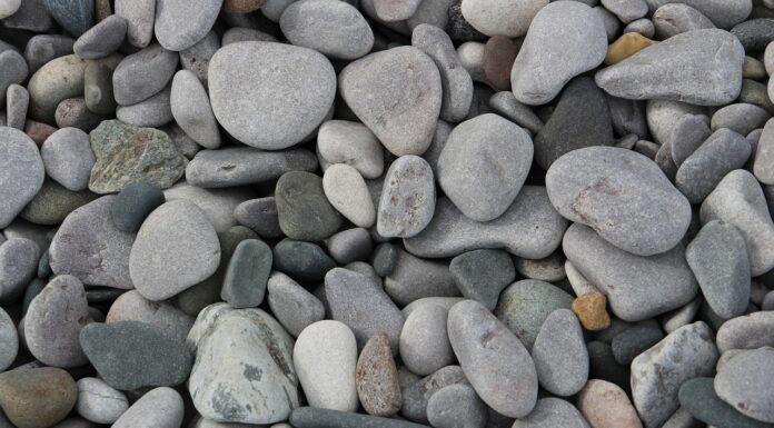 Hannover stellt Kontrollen von Schottergärten aufgrund Ratsbeschluss ein In Hannover werden Schottergartenkontrollen eingestellt, was die Stadtverwaltung angesichts des Klimawandels kritisch sieht