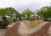 Das Tiny Forest in Vahrenwald fördert die Artenvielfalt und verbessert das Mikroklima in Hannover. Ein innovatives Projekt für die Stadt