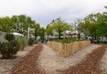 Das Tiny Forest in Vahrenwald fördert die Artenvielfalt und verbessert das Mikroklima in Hannover. Ein innovatives Projekt für die Stadt