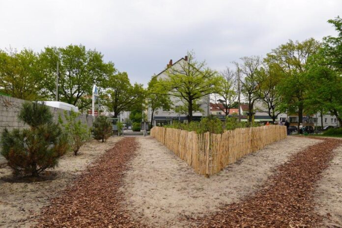 Wirtschafts- und Umweltdezernentin Anja Ritschel und Bezirksbürgermeister Thorsten Baumert bei der Einweihung Das Tiny Forest in Vahrenwald fördert die Artenvielfalt und verbessert das Mikroklima in Hannover. Ein innovatives Projekt für die Stadt