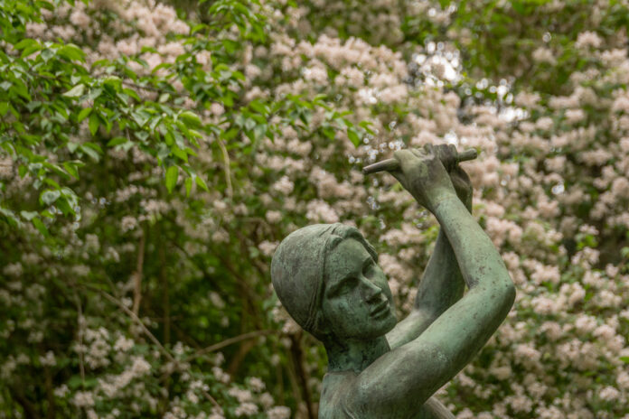 In Hannover stehen Führungen „Grünes Hannover“ zur Verfügung, die spannende Einblicke in die Natur und Geschichte bieten