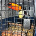 Auf der der A 2 wurden geschützte Tierarten bei einer Verkehrskontrolle entdeckt, die ohne gültige Reisedokumente transportiert wurden.