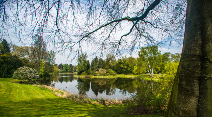 In der dritten Maiwoche gibt es noch freie Plätze für Führungen „Grünes Hannover“ durch Parks und Friedhöfe der Stadt