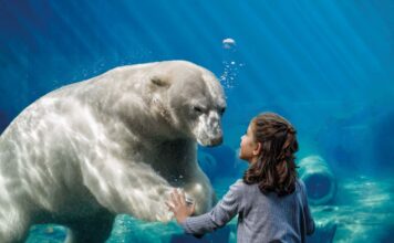 Der Erlebnis-Zoo sucht die schönsten Zoo-Momente für einen Fotowettbewerb anlässlich seines 160-jährigen Bestehens