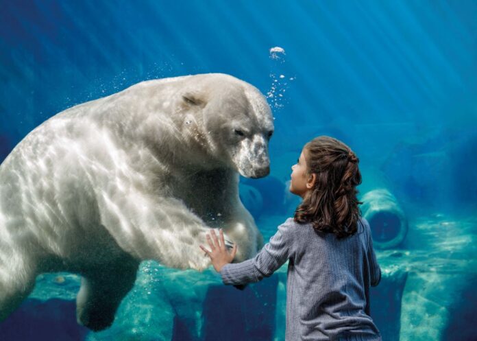 Der Erlebnis-Zoo sucht die schönsten Zoo-Momente für einen Fotowettbewerb anlässlich seines 160-jährigen Bestehens