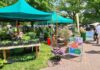 Die Pflanzentage im Stadtpark bieten ein vielfältiges Angebot und Fachwissen für Pflanzenliebhaber in Hannover