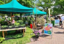 Die Pflanzentage im Stadtpark bieten ein vielfältiges Angebot und Fachwissen für Pflanzenliebhaber in Hannover