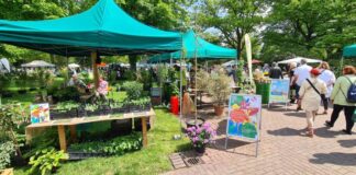 Die Pflanzentage im Stadtpark bieten ein vielfältiges Angebot und Fachwissen für Pflanzenliebhaber in Hannover