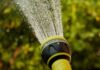 Die Landeshauptstadt Hannover setzt ab dem 6. Juni Maßnahmen zum Wasser sparen bei Hitze in öffentlichen Grünflächen um