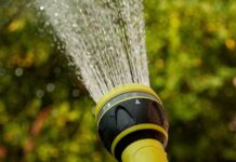 Die Landeshauptstadt Hannover setzt ab dem 6. Juni Maßnahmen zum Wasser sparen bei Hitze in öffentlichen Grünflächen um