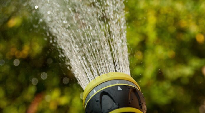 Die Landeshauptstadt Hannover setzt ab dem 6. Juni Maßnahmen zum Wasser sparen bei Hitze in öffentlichen Grünflächen um