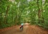 Das Programm „Grünes Hannover“ bietet Führungen durch die Natur und Geschichte der Stadt, mit vielen interessanten Einblicken
