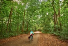 Das Programm „Grünes Hannover“ bietet Führungen durch die Natur und Geschichte der Stadt, mit vielen interessanten Einblicken