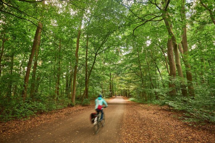 Das Programm „Grünes Hannover“ bietet Führungen durch die Natur und Geschichte der Stadt, mit vielen interessanten Einblicken