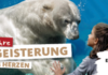 Das Erlebnis-Zoo feiert Jubiläum mit bunten Aktionen und einer Zeitreise durch 160 Jahre Zoogeschichte in Hannover.