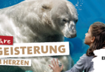 Das Erlebnis-Zoo feiert Jubiläum mit bunten Aktionen und einer Zeitreise durch 160 Jahre Zoogeschichte in Hannover.