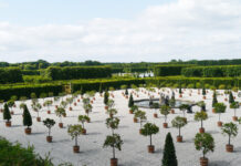 Der Orangenplatz feiert ersten Auftritt im Großen Garten anlässlich des 350. Jubiläums mit einer besonderen Führung