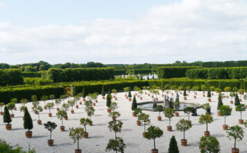 Der Orangenplatz feiert ersten Auftritt im Großen Garten anlässlich des 350. Jubiläums mit einer besonderen Führung